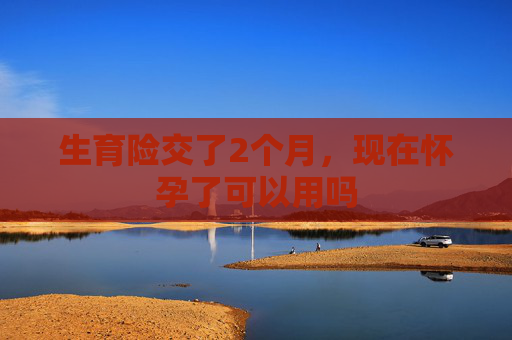 生育险交了2个月，现在怀孕了可以用吗