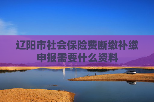 辽阳市社会保险费断缴补缴申报需要什么资料