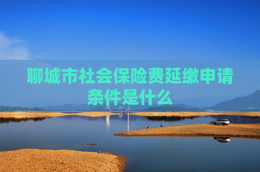 聊城市社会保险费延缴申请条件是什么