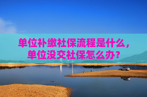 单位补缴社保流程是什么，单位没交社保怎么办？