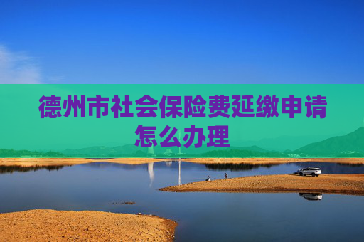 德州市社会保险费延缴申请怎么办理