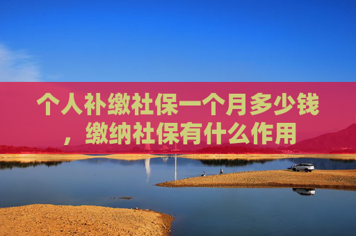 个人补缴社保一个月多少钱，缴纳社保有什么作用