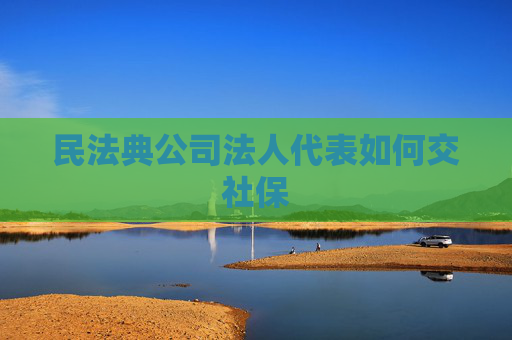 民法典公司法人代表如何交社保