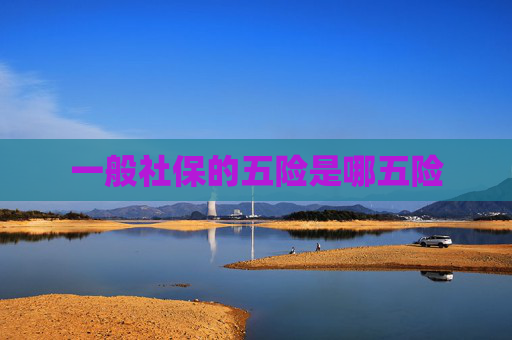 一般社保的五险是哪五险