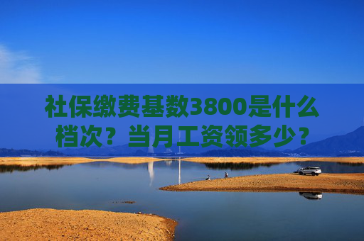社保缴费基数3800是什么档次？当月工资领多少？