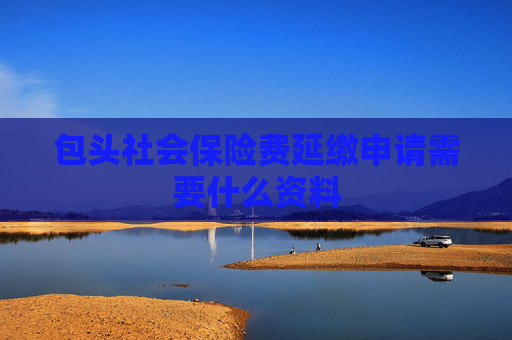 包头社会保险费延缴申请需要什么资料
