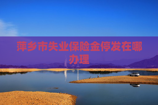 萍乡市失业保险金停发在哪办理