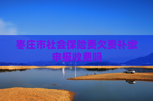 枣庄市社会保险费欠费补缴申报收费吗