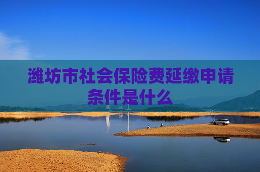 潍坊市社会保险费延缴申请条件是什么
