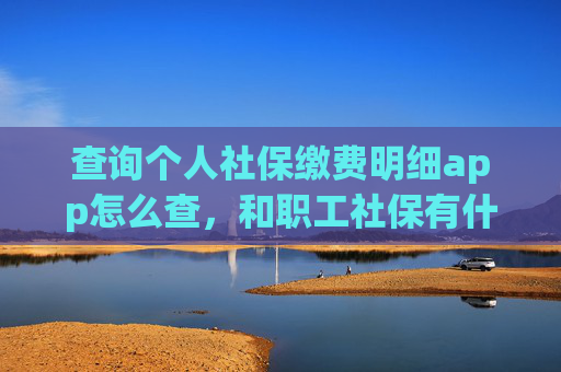 查询个人社保缴费明细app怎么查，和职工社保有什么区别？