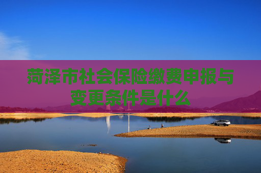 菏泽市社会保险缴费申报与变更条件是什么