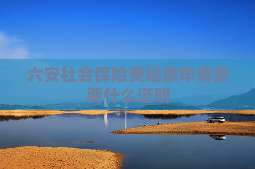 六安社会保险费延缴申请需要什么证明