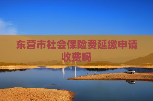 东营市社会保险费延缴申请收费吗