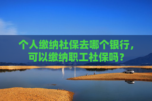 个人缴纳社保去哪个银行，可以缴纳职工社保吗？
