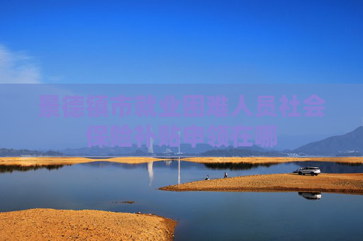 景德镇市就业困难人员社会保险补贴申领在哪