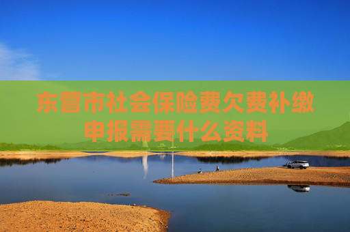 东营市社会保险费欠费补缴申报需要什么资料