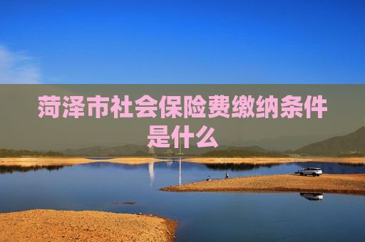 菏泽市社会保险费缴纳条件是什么