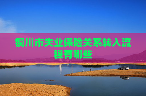 铜川市失业保险关系转入流程有哪些