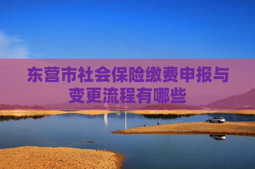 东营市社会保险缴费申报与变更流程有哪些
