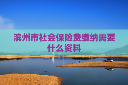 滨州市社会保险费缴纳需要什么资料
