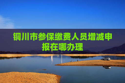 铜川市参保缴费人员增减申报在哪办理