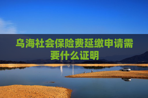乌海社会保险费延缴申请需要什么证明