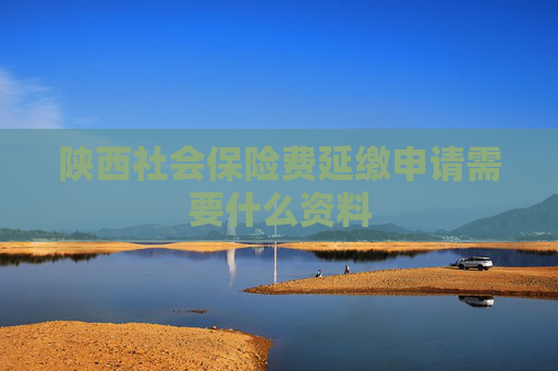 陕西社会保险费延缴申请需要什么资料