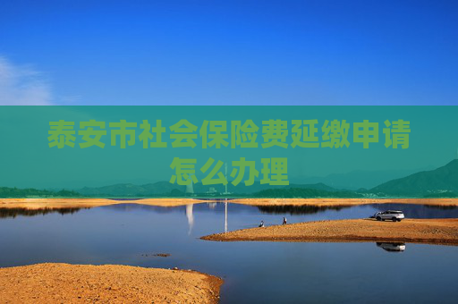泰安市社会保险费延缴申请怎么办理