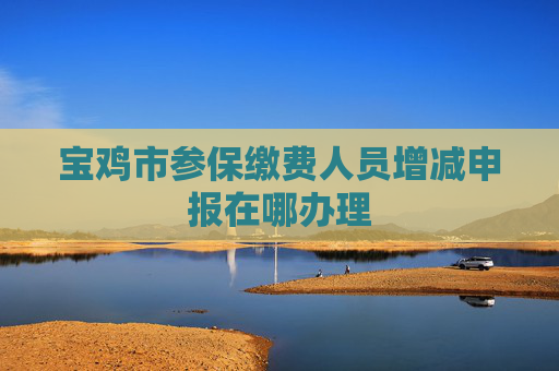 宝鸡市参保缴费人员增减申报在哪办理