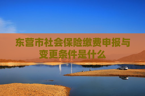 东营市社会保险缴费申报与变更条件是什么
