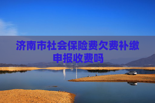济南市社会保险费欠费补缴申报收费吗