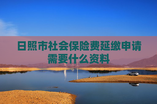 日照市社会保险费延缴申请需要什么资料