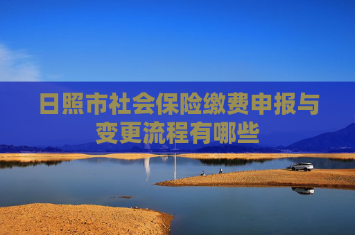 日照市社会保险缴费申报与变更流程有哪些
