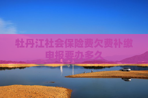牡丹江社会保险费欠费补缴申报要办多久