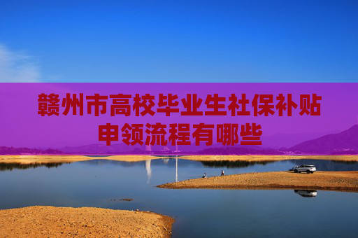 赣州市高校毕业生社保补贴申领流程有哪些
