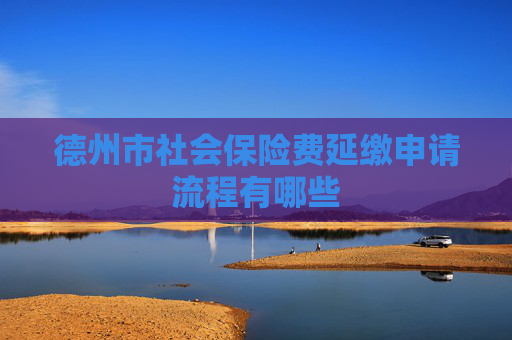 德州市社会保险费延缴申请流程有哪些