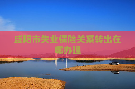 咸阳市失业保险关系转出在哪办理