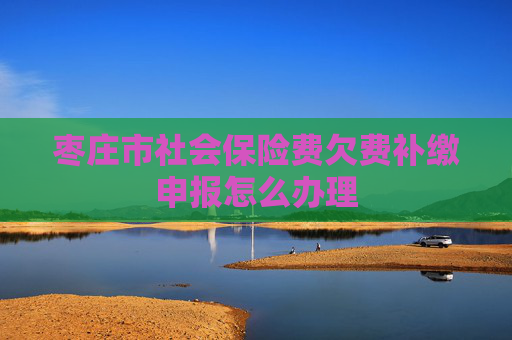 枣庄市社会保险费欠费补缴申报怎么办理