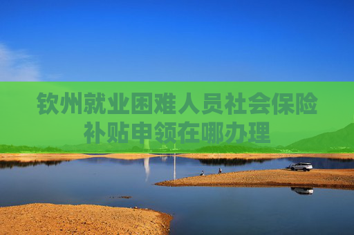 钦州就业困难人员社会保险补贴申领在哪办理