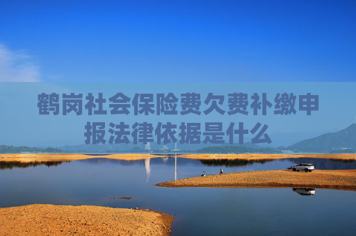 鹤岗社会保险费欠费补缴申报法律依据是什么