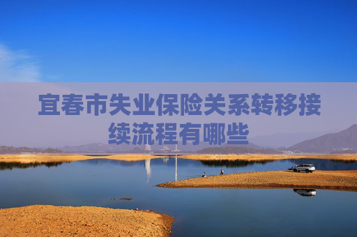 宜春市失业保险关系转移接续流程有哪些
