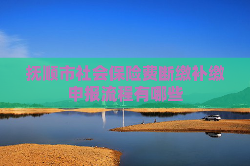 抚顺市社会保险费断缴补缴申报流程有哪些