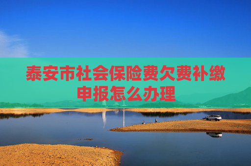 泰安市社会保险费欠费补缴申报怎么办理