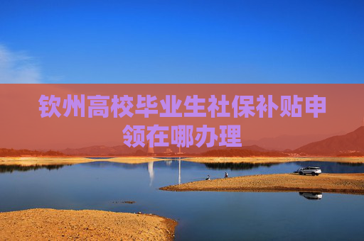 钦州高校毕业生社保补贴申领在哪办理