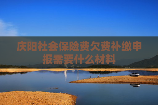 庆阳社会保险费欠费补缴申报需要什么材料