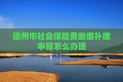 德州市社会保险费断缴补缴申报怎么办理