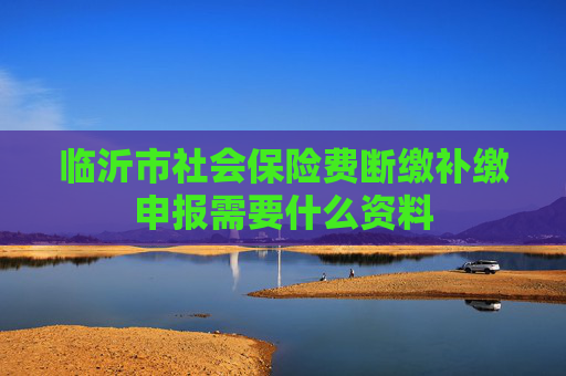 临沂市社会保险费断缴补缴申报需要什么资料