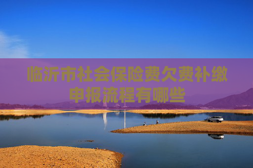 临沂市社会保险费欠费补缴申报流程有哪些