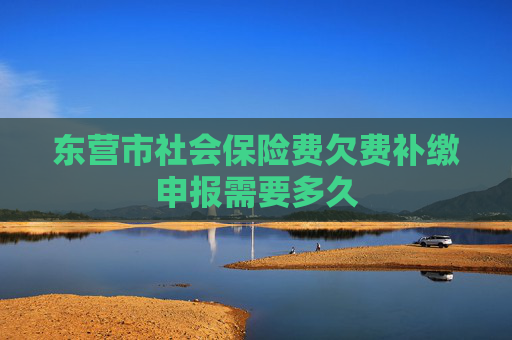 东营市社会保险费欠费补缴申报需要多久