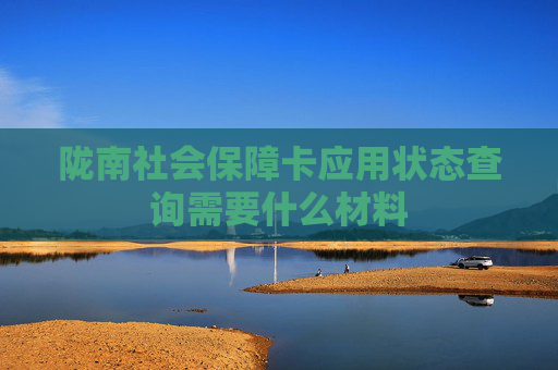 陇南社会保障卡应用状态查询需要什么材料